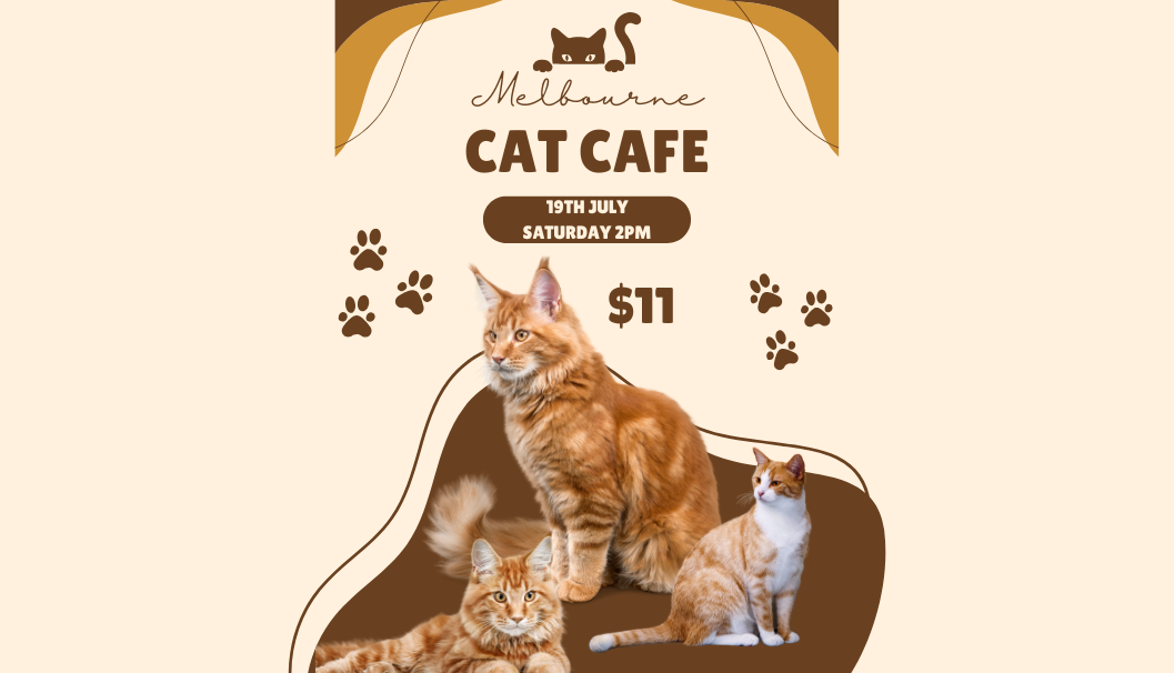 Melbourne Cat cafe