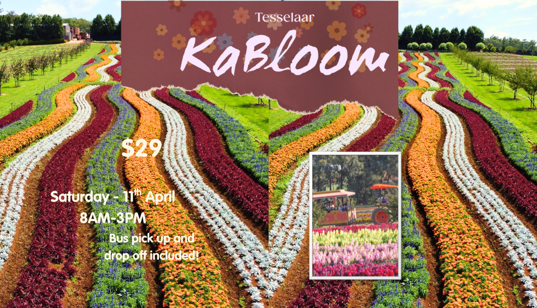 Tesselar Flower festival