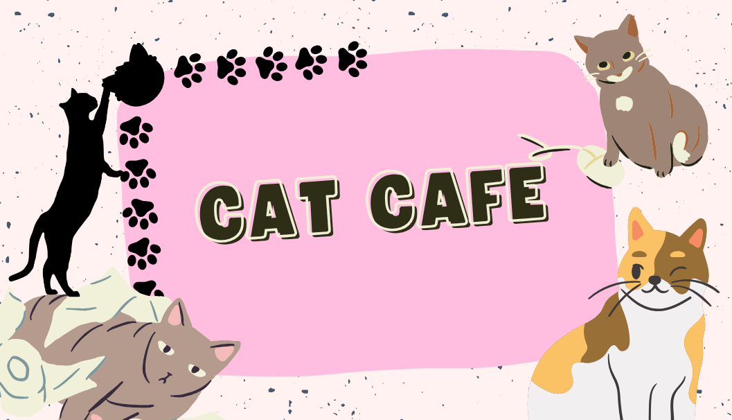 Cat Cafe
